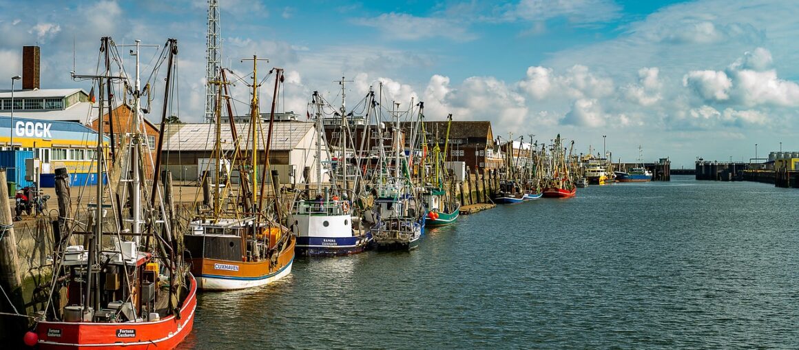 Ausbau Offshore-Windenergie: Bund-Beteiligung am Seehafen Cuxhaven