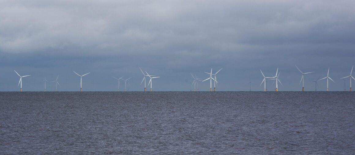 Offshore-Windkraft trifft Meeresnutzung: Konflikt oder Koexistenz?